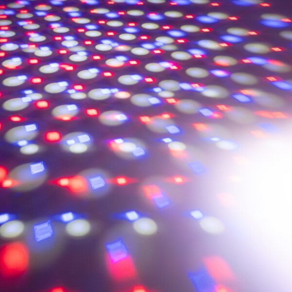 157036_effectgrond-7_web
