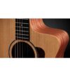 TAYLOR 14CE 3