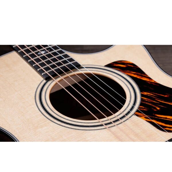 TAYLOR 314CE 4